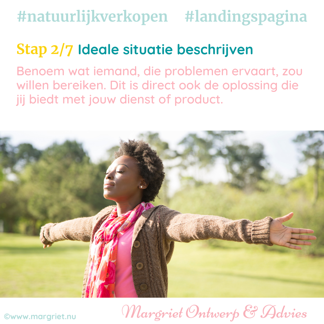 Landingspagina ideale situatie